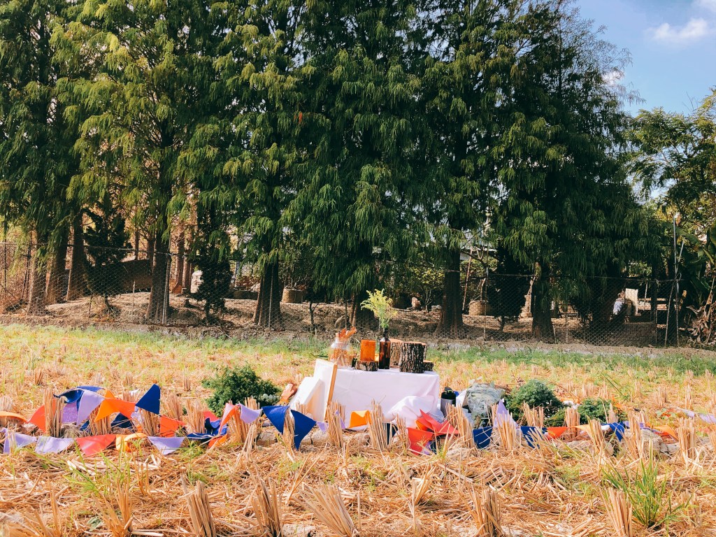 田中央野餐日